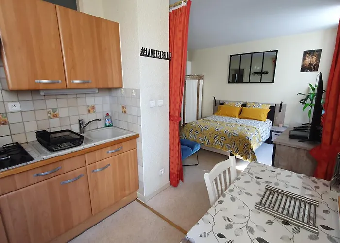 Le Lamartine Hyper Centre Aix Les Bains Avec Parking Et Climatisation Apartmán Aix-les-Bains